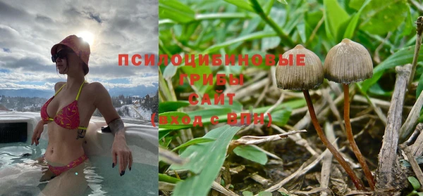 дмт Вяземский