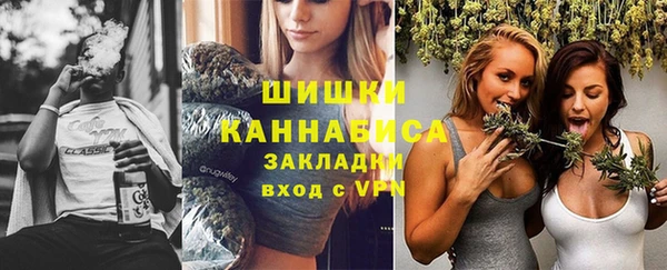сатива Вязники