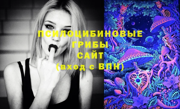 сатива Новодвинск