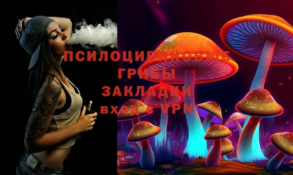 дмт Вяземский