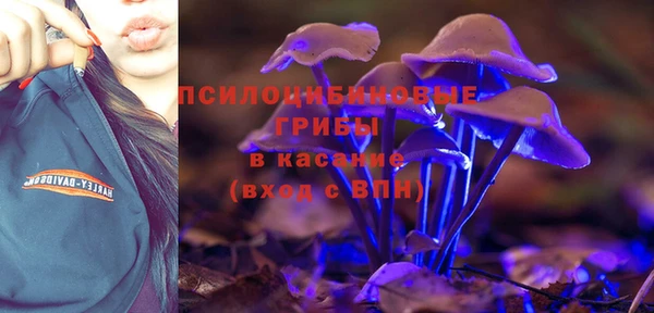 мет Пестово