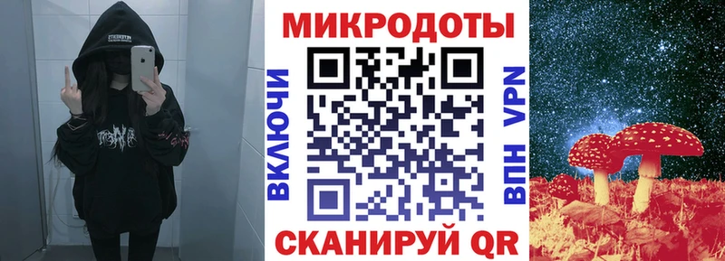 где купить наркотик  Салехард  Псилоцибиновые грибы Cubensis 